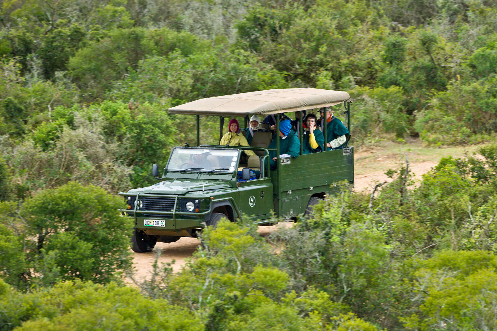 Addo Elephant Park: Safari Lodges & Camps | South Africa