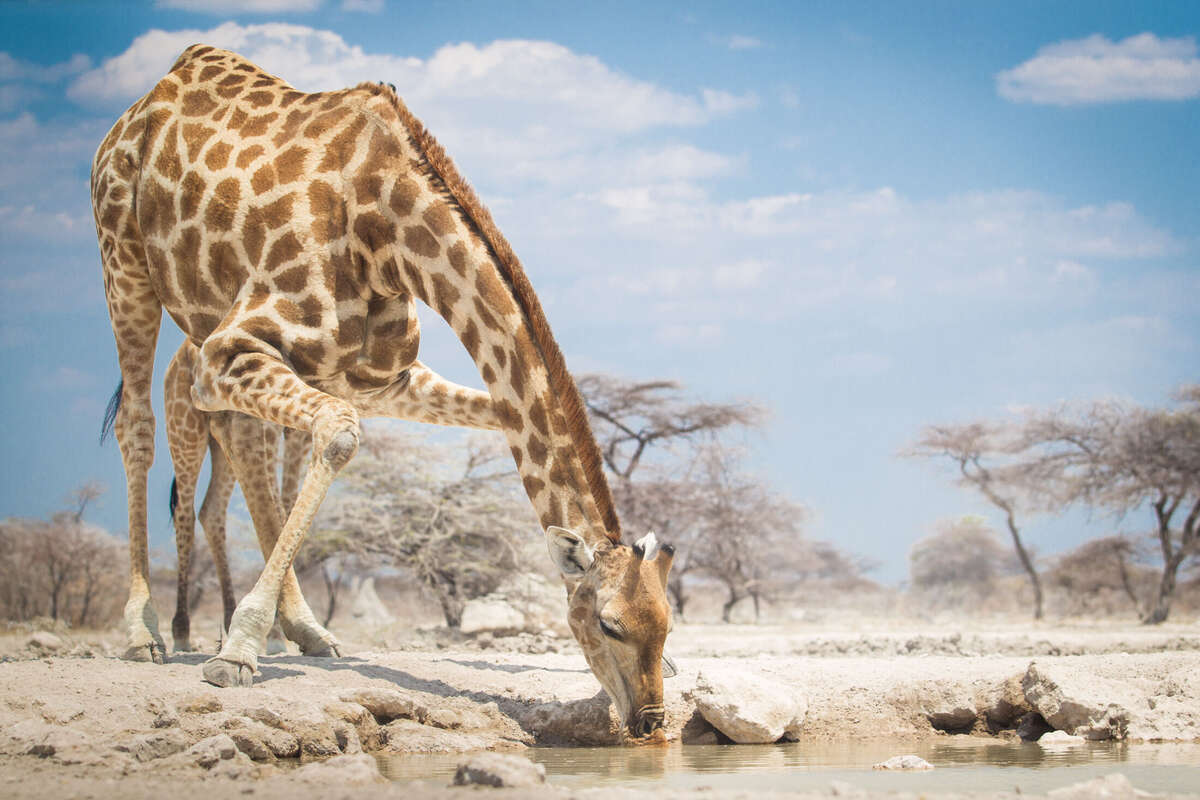 Skeleton Coast Safaris - Run By The Schoeman Family - Namibia