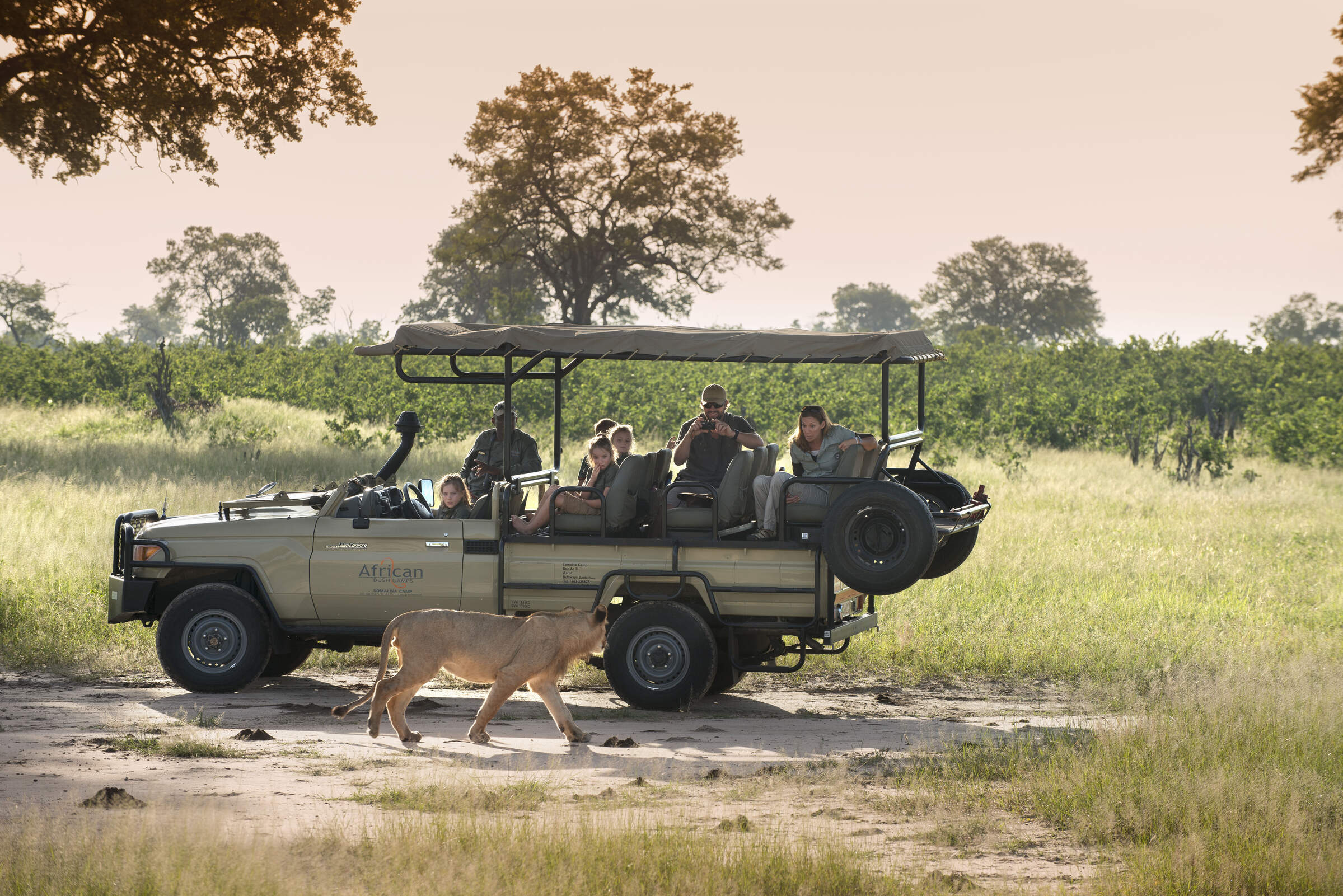 Somalisa Acacia | Hwange National Park | Zimbabwe | Expert Africa