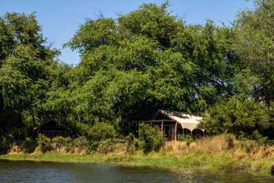 Chongwe River Camp