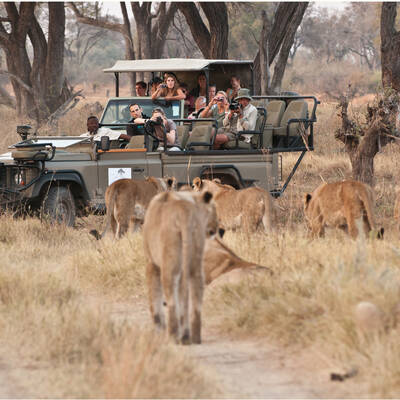 Brilliant Botswana safari holidays | Expert Africa