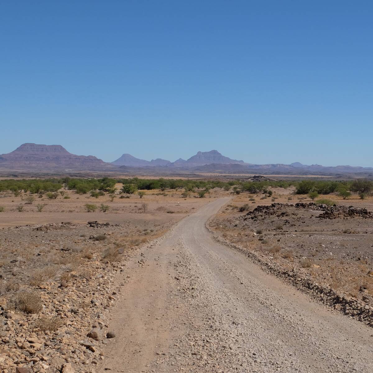 Namibia: self-drive tips and tricks | Expert Africa