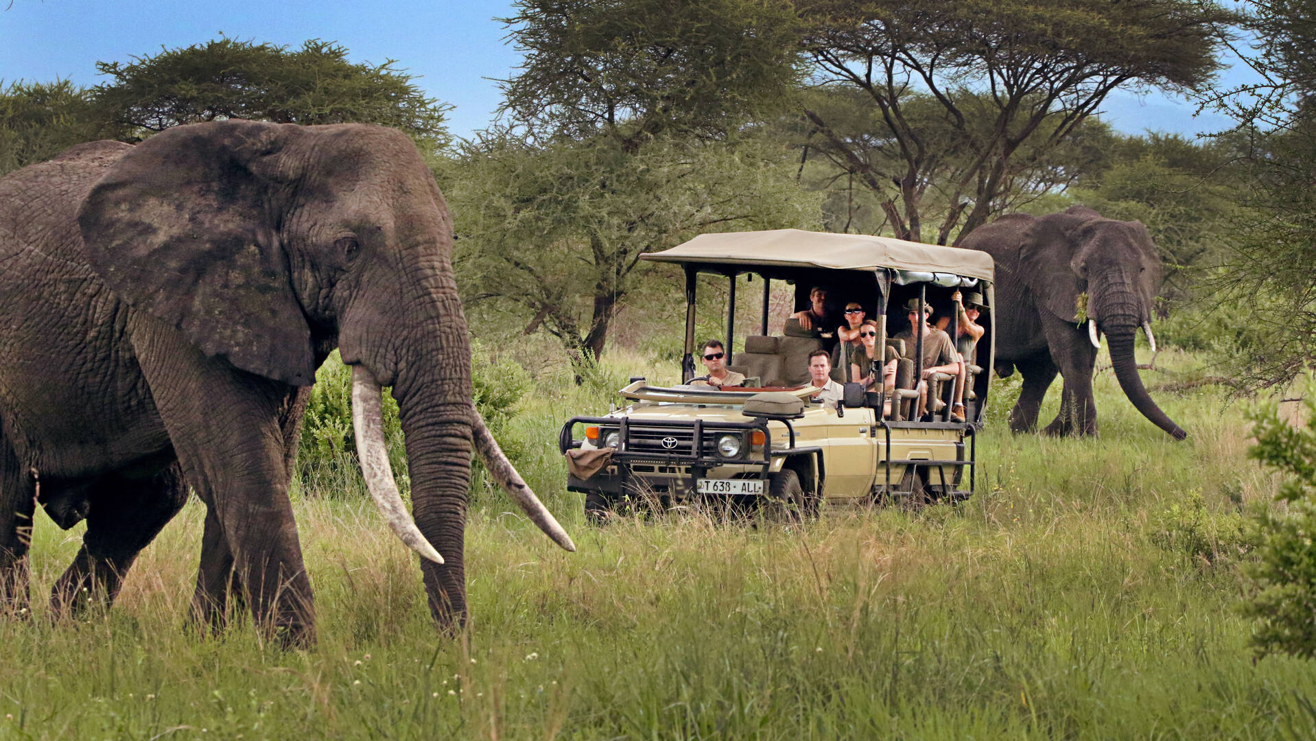 Enjoy A Holiday In Northern Tanzania With A Private Expert Safari Guide