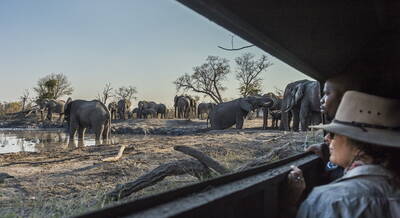 Brilliant Botswana Safari Holidays | Expert Africa