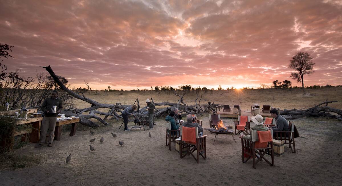 chobe princess safari boat