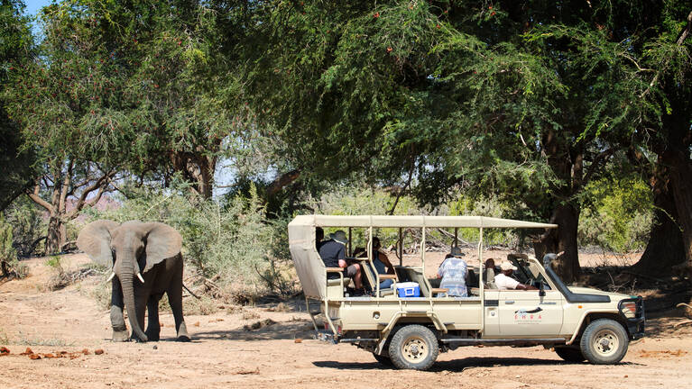 Dune Lark Safari: 14-night trip in Namibia | Expert Africa