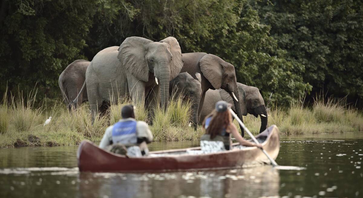 South Luangwa National Park | Zambia | Expert Africa