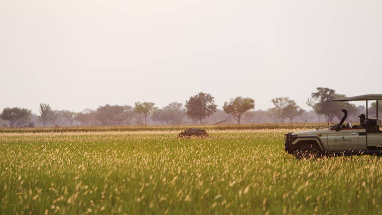 Tsessebe Safari: prices