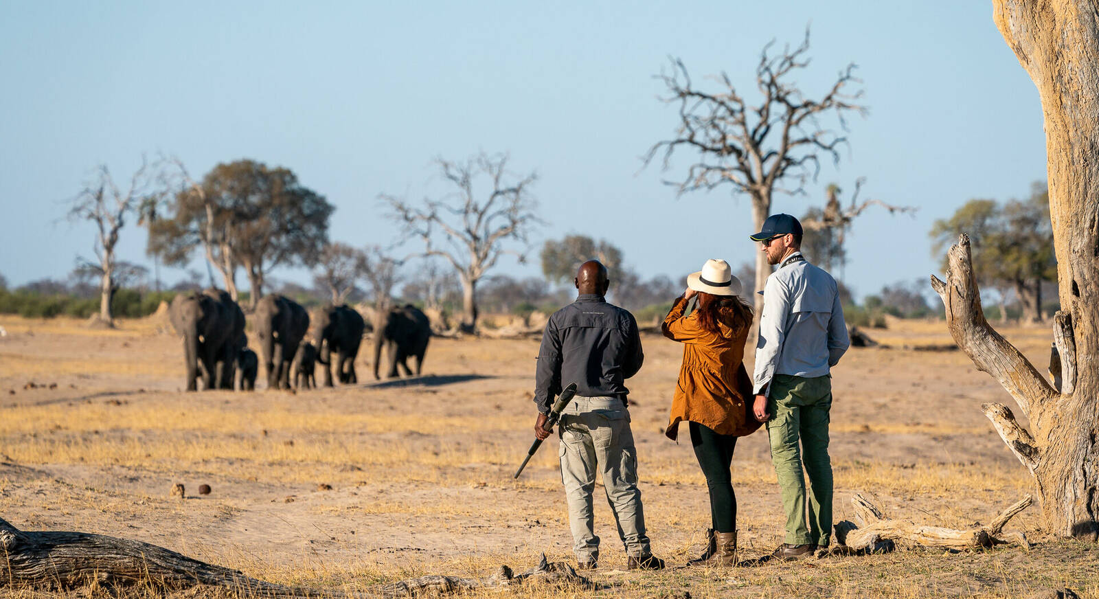 Hwange National Park - Zimbabwe - Safari, Camps And Lodges