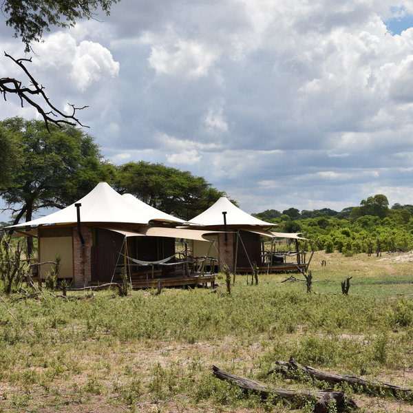 Somalisa Acacia | Hwange National Park | Zimbabwe | Expert Africa