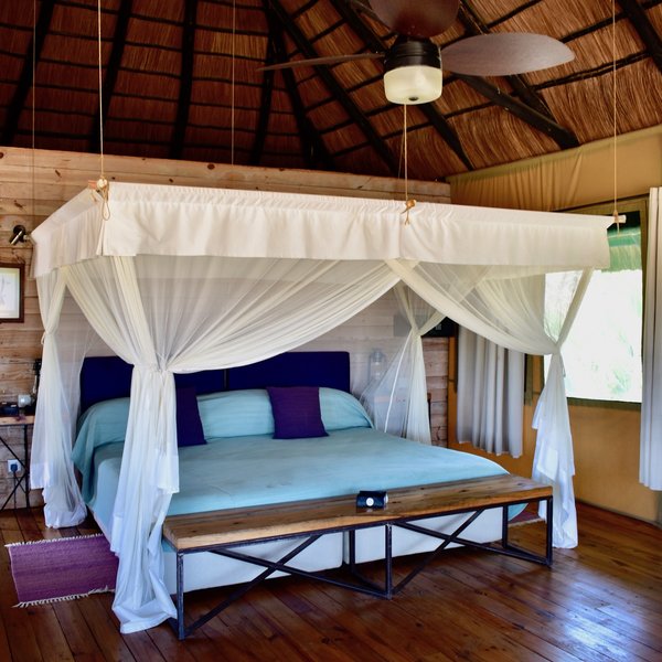 Maramboi Tented Camp | Tarangire National Park | Tanzania | Expert Africa