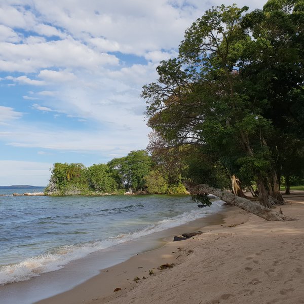 Rubondo Island Camp | Rubondo Island | Tanzania Expert Africa