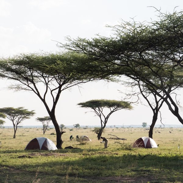 Serengeti Green Camps - Tanzania Mobile Safaris