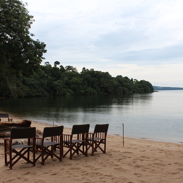 Rubondo Island Camp | Rubondo Island | Tanzania Expert Africa