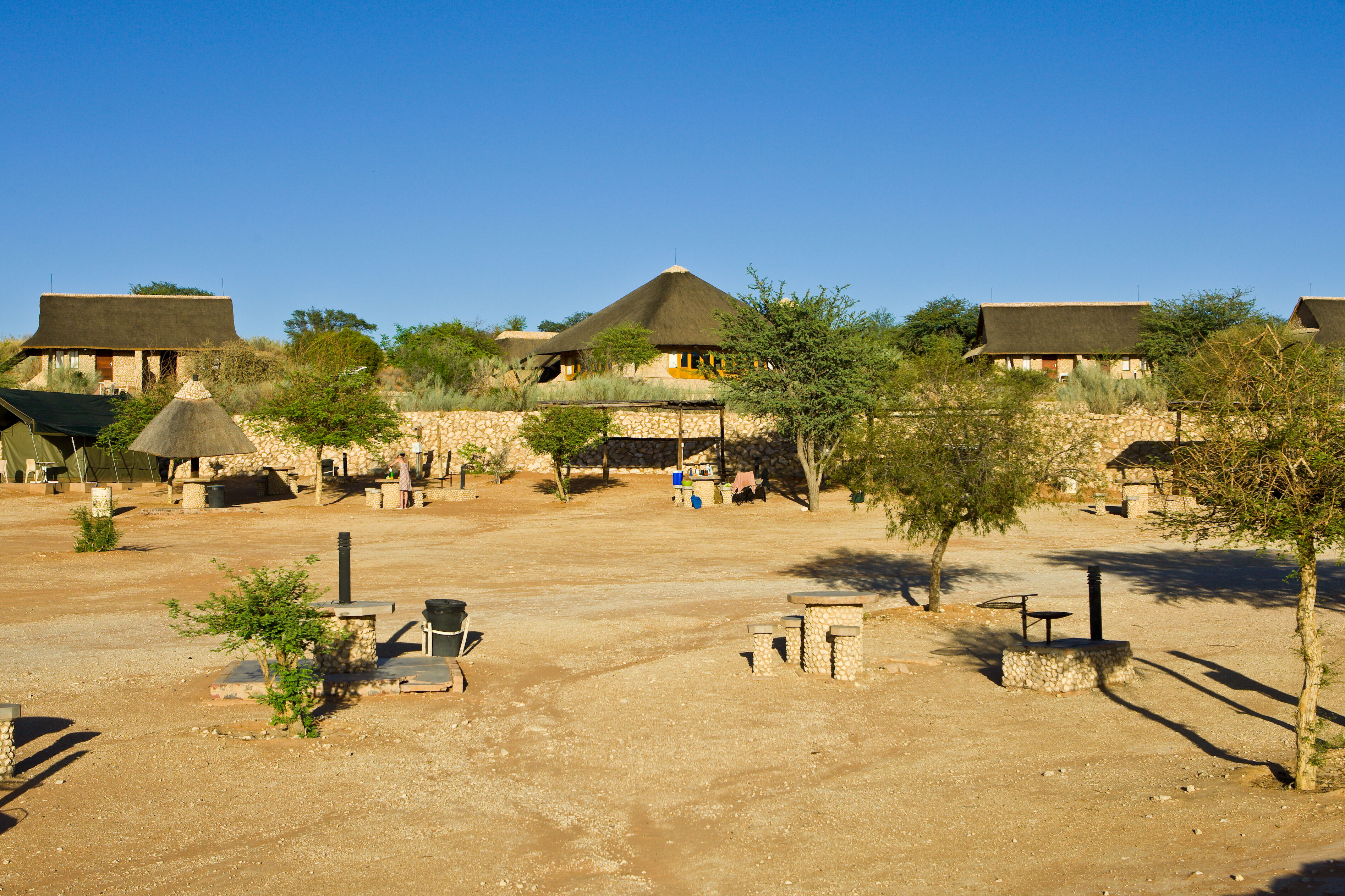 12 images of Twee Rivieren Rest Camp, South Africa | Expert Africa