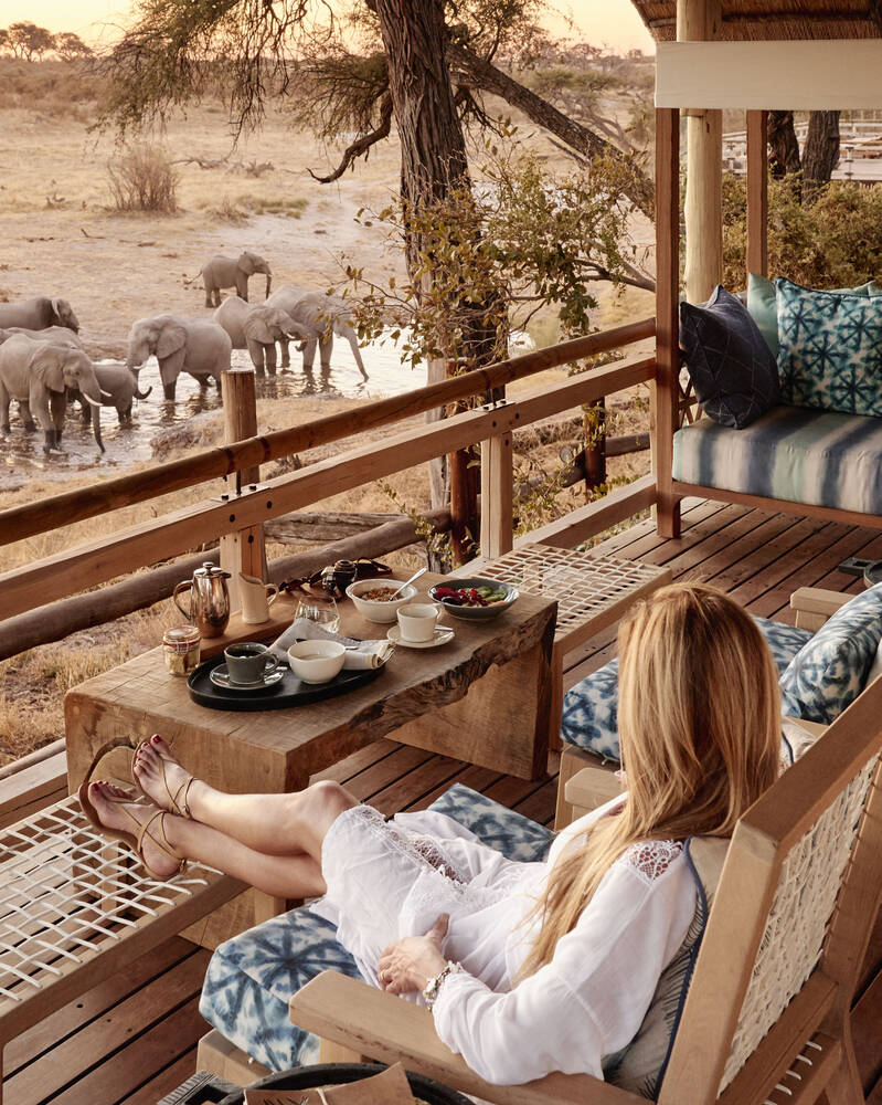 safari holidays for solo travellers