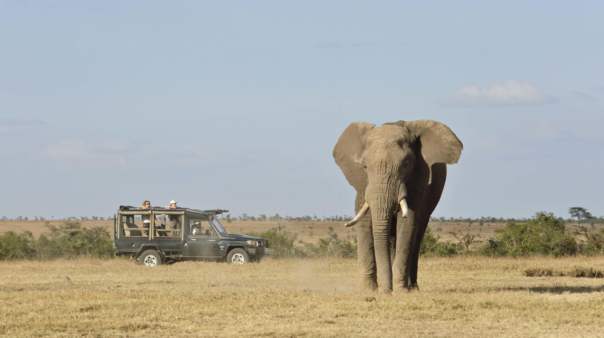 Tailor-made African safaris from the experts