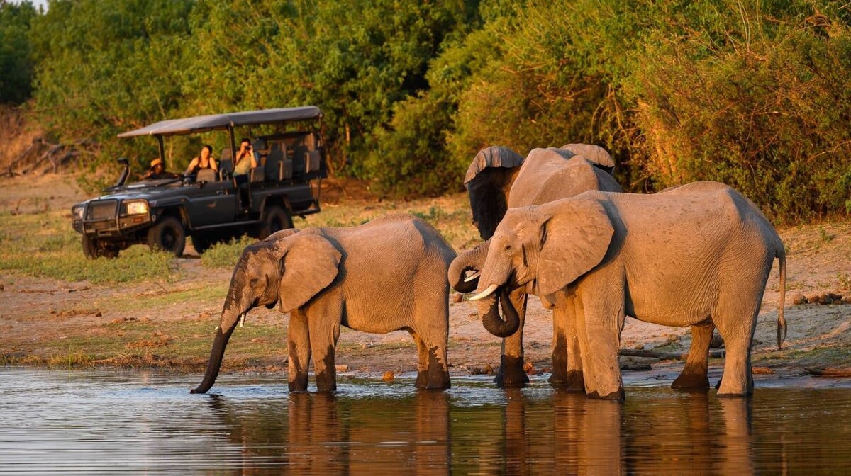 Safaris, holidays & adventures to Africa | Expert Africa