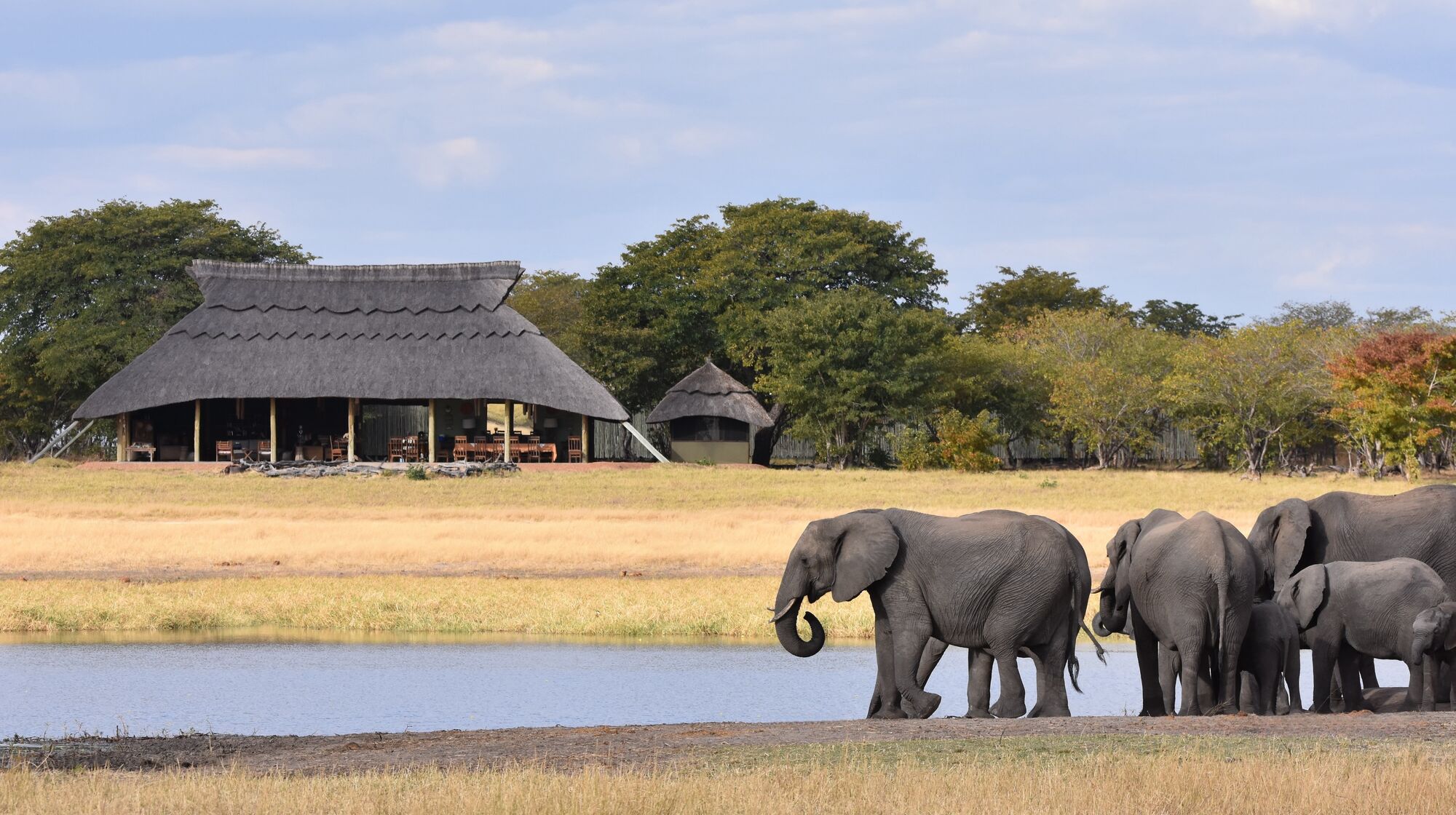 Tailor-made African safaris from the experts